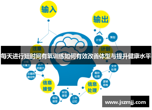 每天进行短时间有氧训练如何有效改善体型与提升健康水平