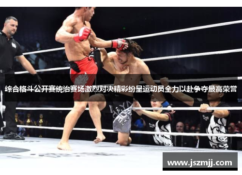 综合格斗公开赛统治赛场激烈对决精彩纷呈运动员全力以赴争夺最高荣誉