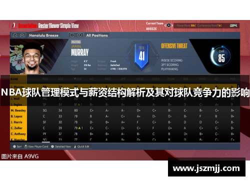 NBA球队管理模式与薪资结构解析及其对球队竞争力的影响
