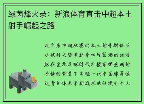 绿茵烽火录：新浪体育直击中超本土射手崛起之路